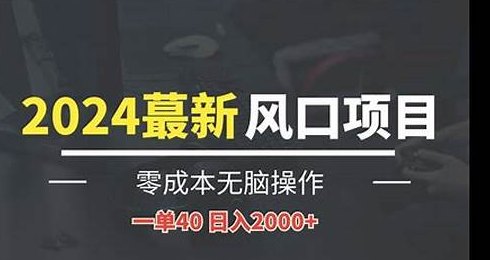 2024最新首码项目详解