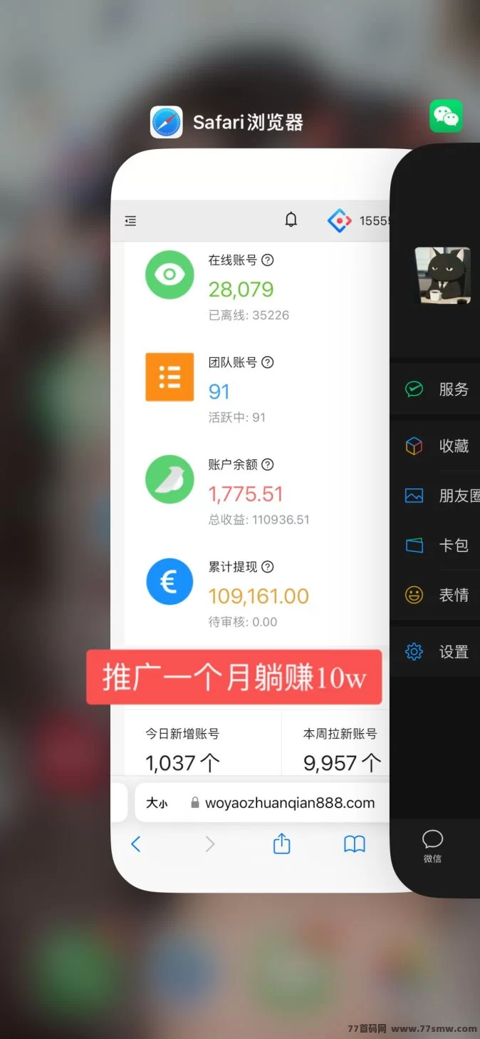 《一斗米褂机》春节赚钱新方式,轻松体验副业收入!