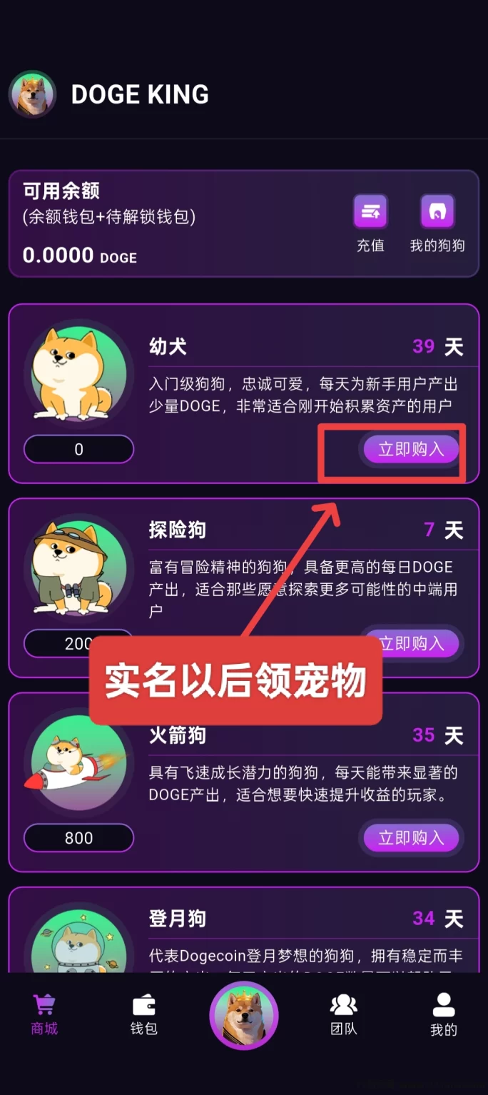 DogeKing首码上线,抓住机遇,轻松赚取收溢!