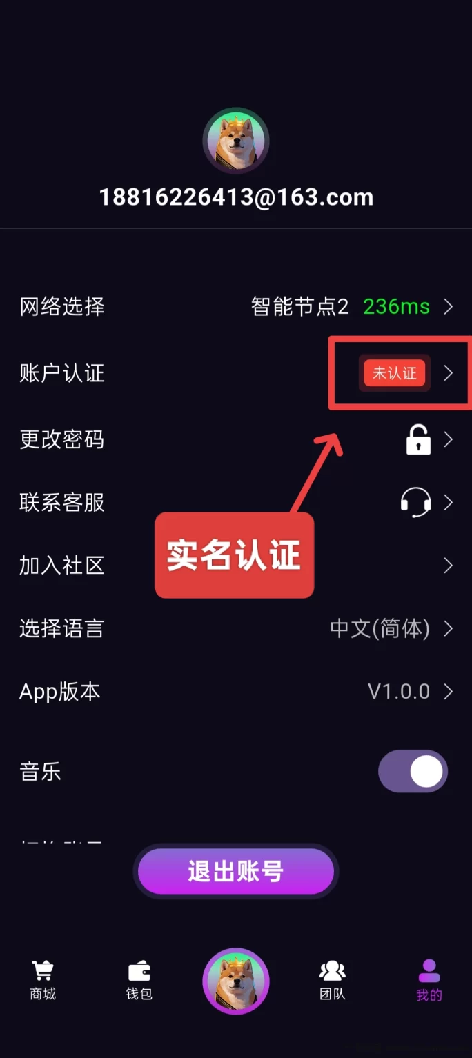 DogeKing首码上线,抓住机遇,轻松赚取收溢!