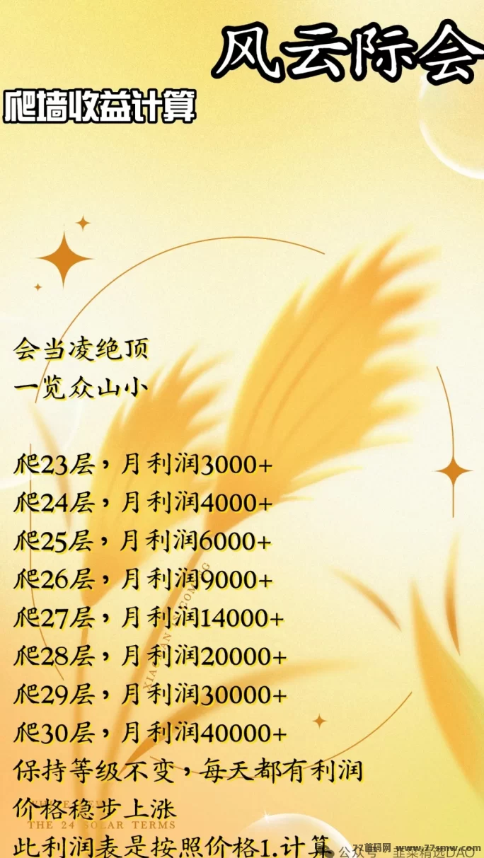 风云际会首码项目全解析:多元玩法融合,生态全面启动!