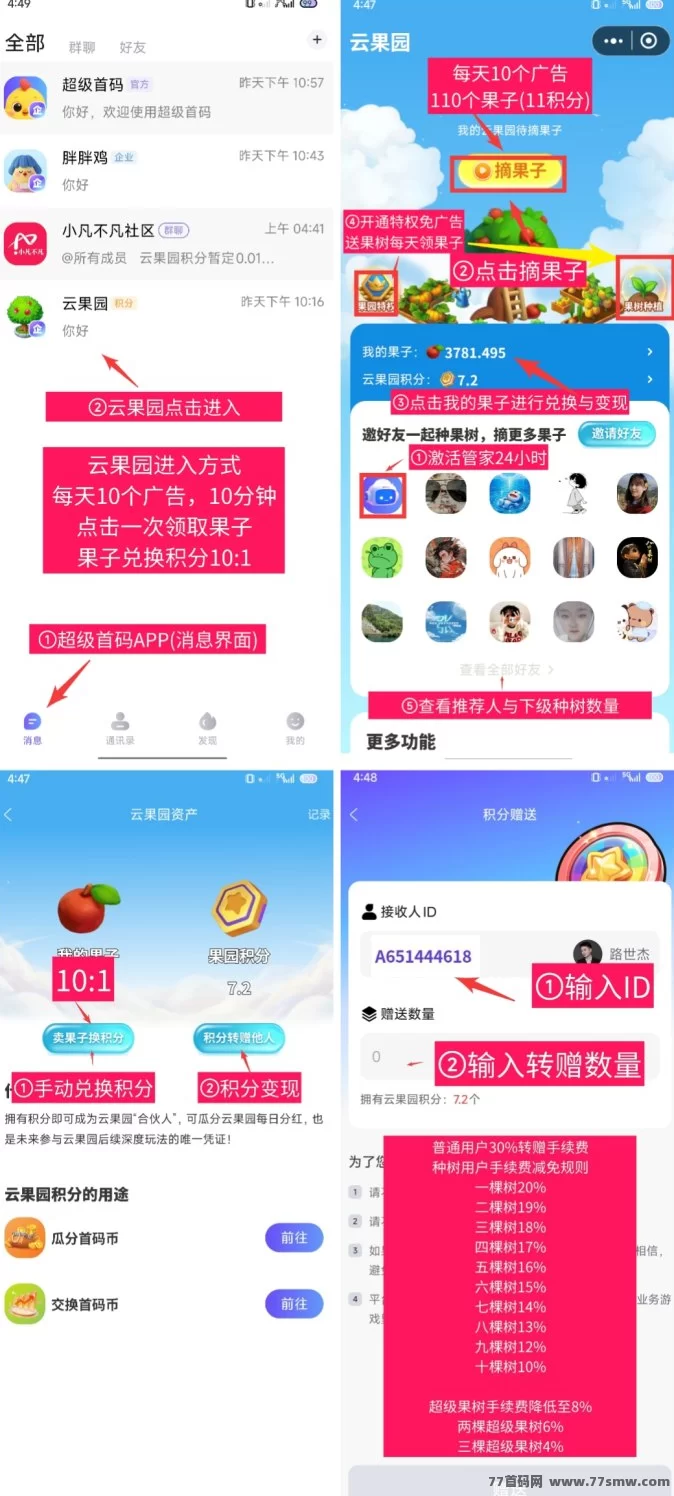 云果园首码项目上线,零基础轻松种树摘果,多重奖励玩法全解析!