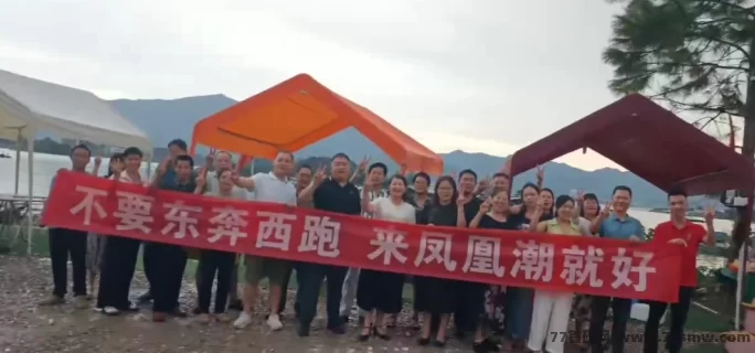 凤凰潮全攻略：长期稳定月入数十万，四种方式轻松赚米，人人都能上手！