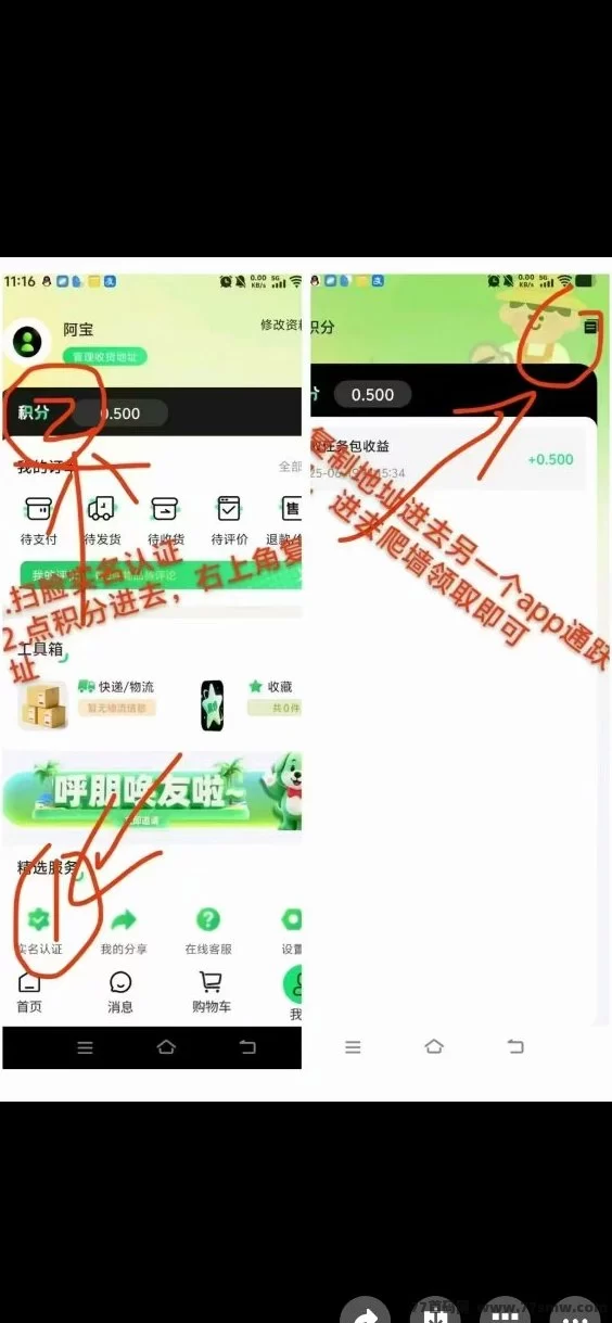 绿通商城:线下实体稳定收溢,任务包释放,长期躺赚攻略!
