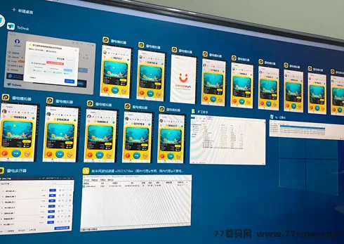 小豹点点首码广告赚米项目：轻松单机赚取高收溢！