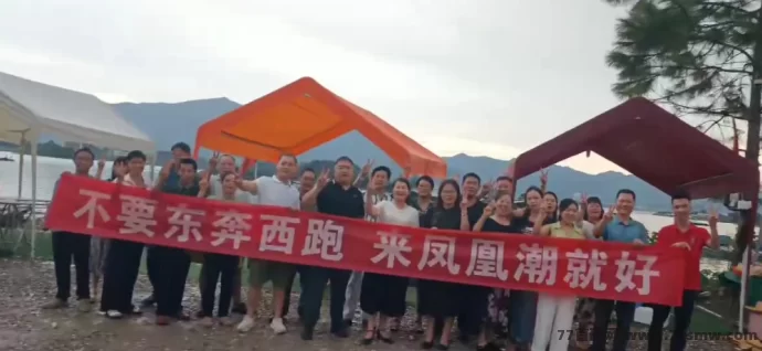 凤凰潮快赚攻略：多方式轻松赚米，团队长月入轻松突破十万！