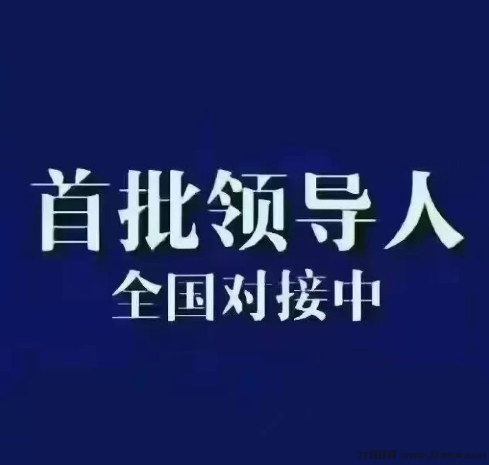 i妈妈首码项目：褂机排线，正规长期稳定，月入轻松16w！