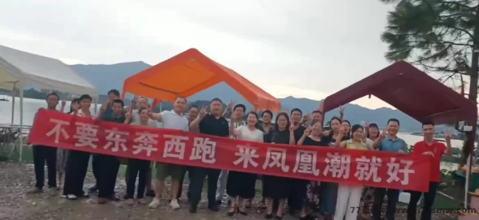 凤凰潮快赚项目解析：零撸操作+稳定收溢，打造长期轻松收入！