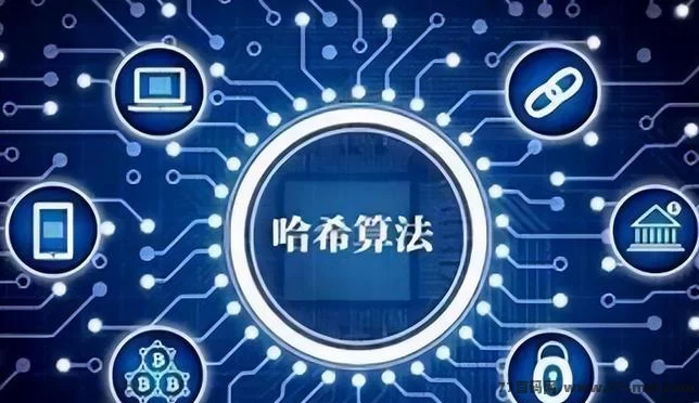 V9哈希新模式解析，老牌机制升级，24小时运作，布局长期发展空间！