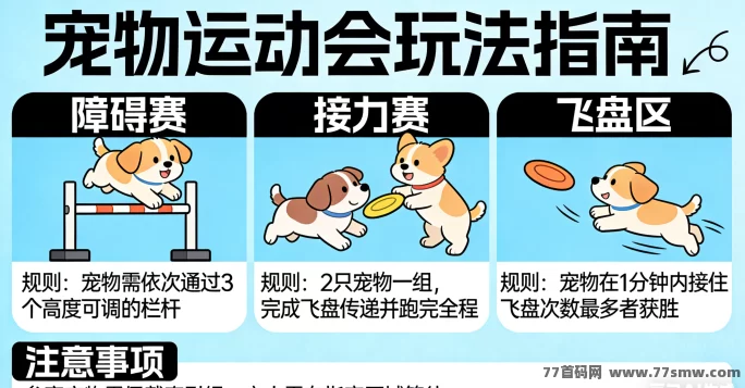 新手必看!宠物运动会参赛技巧,轻松赢得比赛不浪费体力