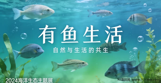 有鱼生活新手指南：在海洋王国养鱼，享受悠闲时光