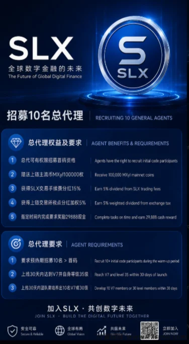 《SLX》史级零撸项目 ,2026即Daliy1%又一巅峰之作