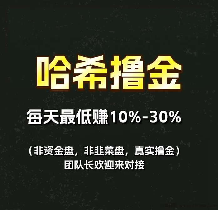 哈希V2/VS财富密码:全自动量化挂机,让你的资金24小时为你“打工”!